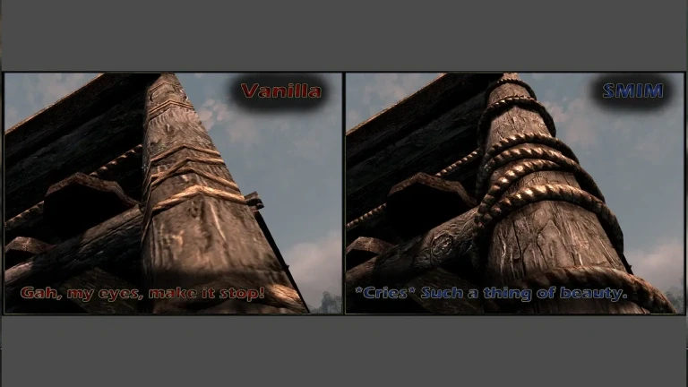 En iyi Skyrim modları: SMIM